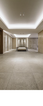 ANESIA藤が丘 THE GRAND TERRACE